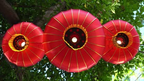 Look-up-red-lantern-with-background-green